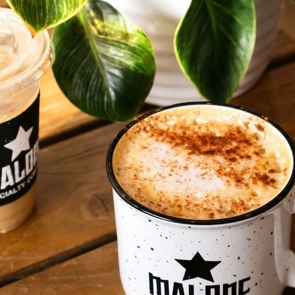 Iced coffee and a hot latte with cinnamon on a wooden table next to a green plant.